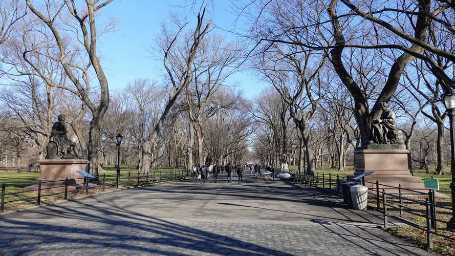 NYC_2024-02-03 09-44-16_RX_06919